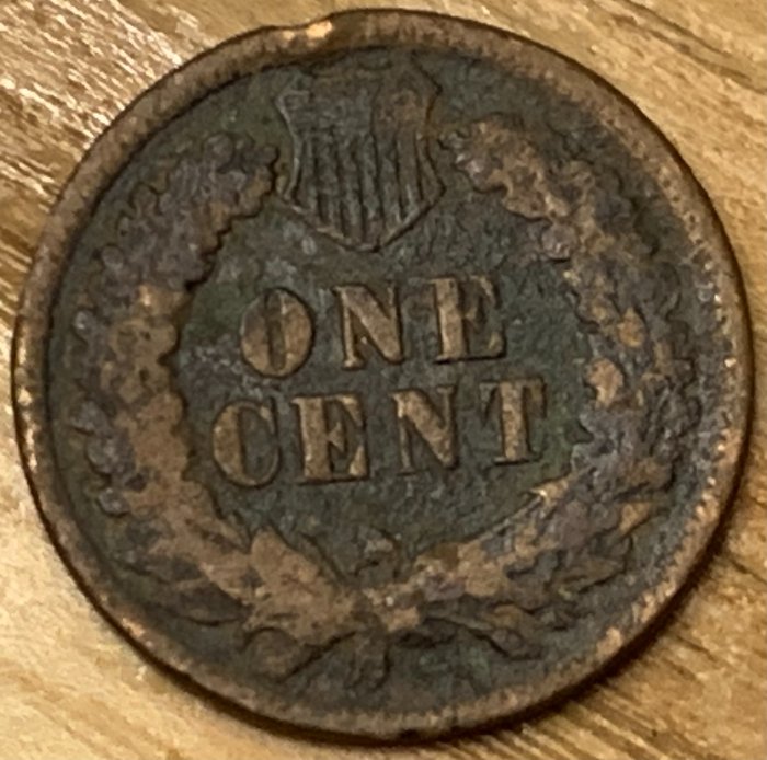 1897-Indian-Head-Cent-For-Grading